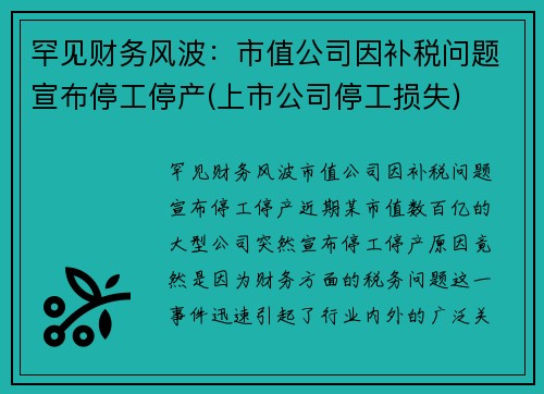 罕见财务风波：市值公司因补税问题宣布停工停产(上市公司停工损失)