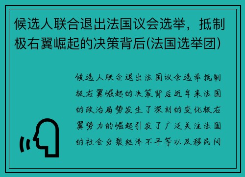 候选人联合退出法国议会选举，抵制极右翼崛起的决策背后(法国选举团)