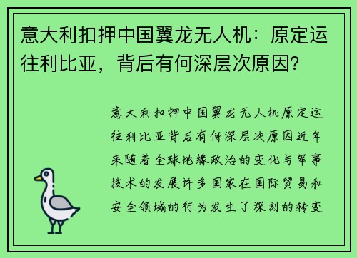 意大利扣押中国翼龙无人机：原定运往利比亚，背后有何深层次原因？