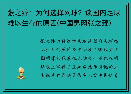 张之臻：为何选择网球？谈国内足球难以生存的原因(中国男网张之臻)